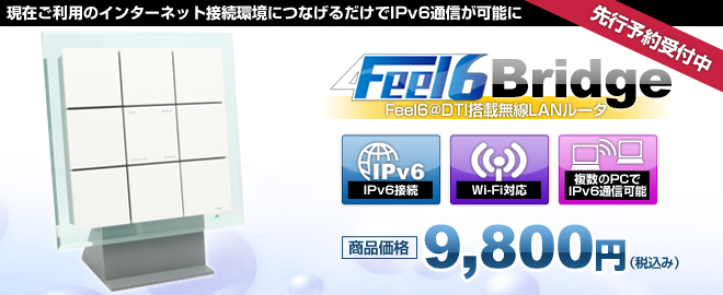Feel6 Bridge