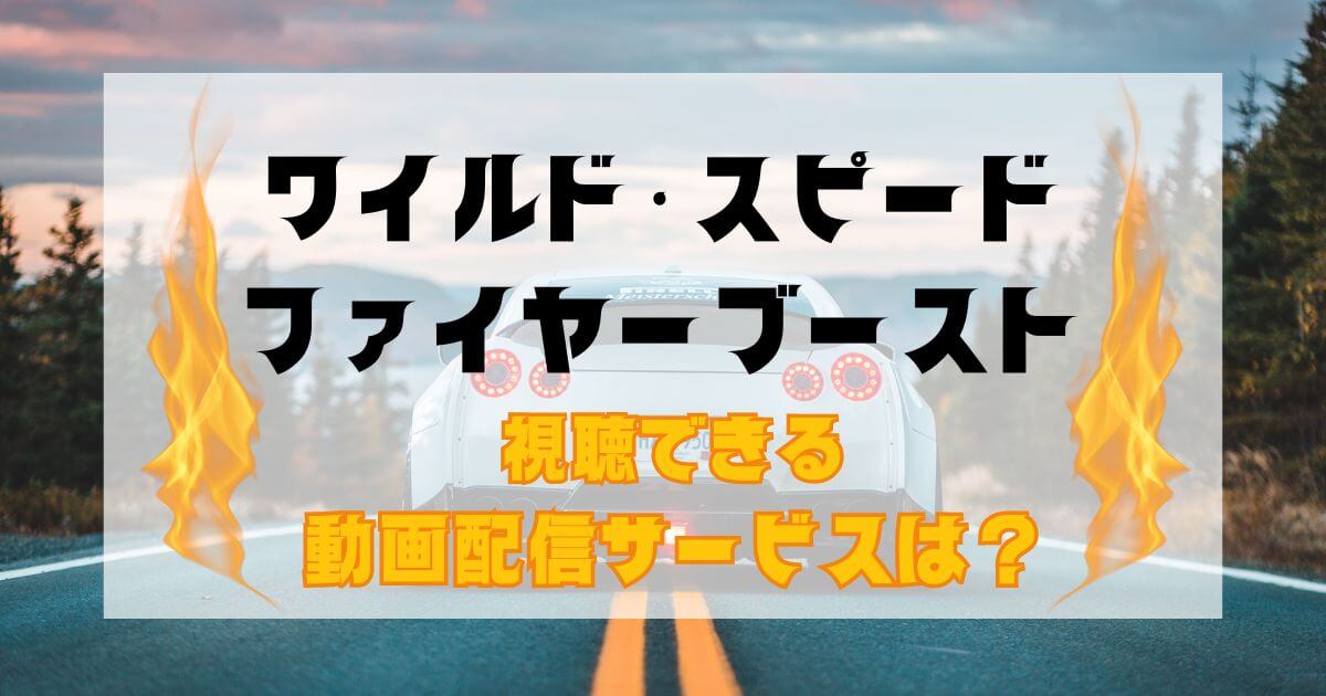 販売促進物 クリスマス？ ワイルドスピード10作品のセットです。DVD