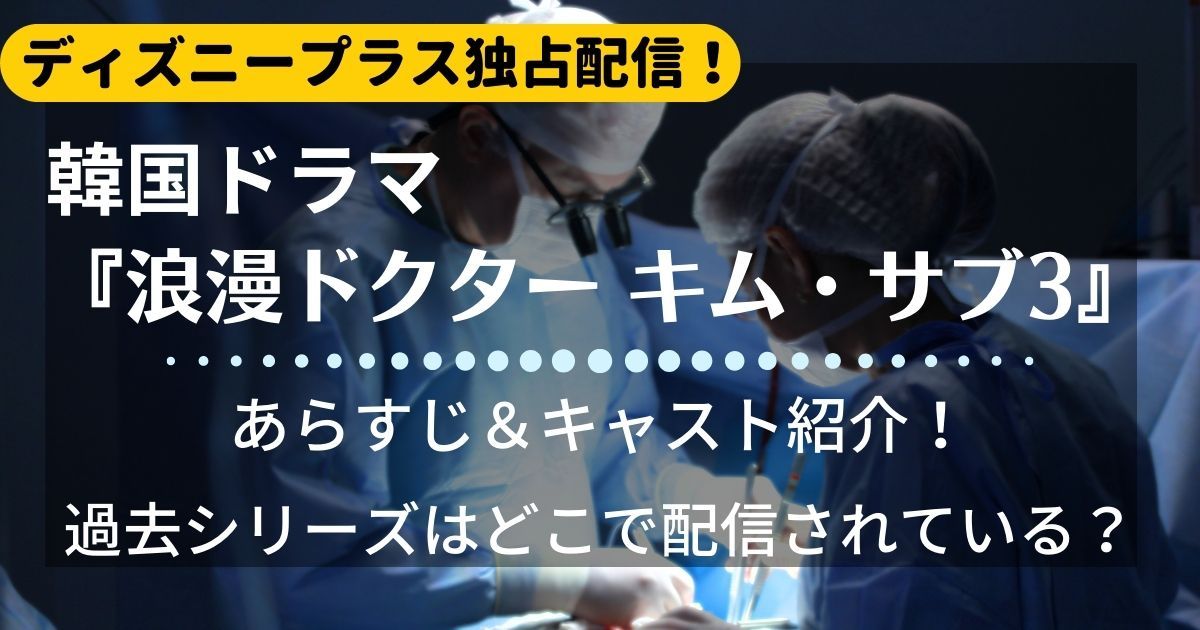 最新】韓国ドラマ『浪漫ドクター キム・サブ』が配信されている