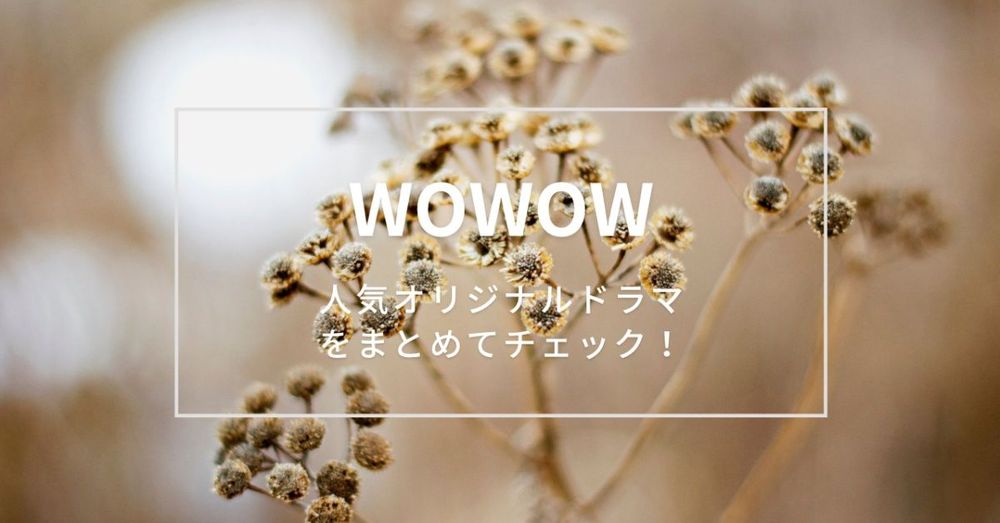 2021年版】WOWOWのおすすめ人気ドラマをまとめてチェック！ “ドラマW